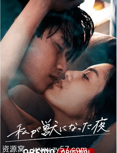 我变成野兽的夜晚 海报