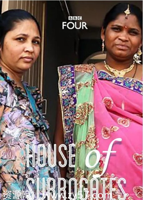 代孕者电影海报