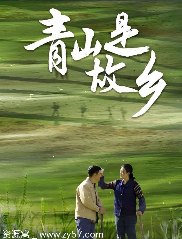 【国剧推荐】《青山是故乡》2025年剧情深度解析 - 零零盘
