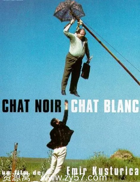 南斯拉夫经典喜剧爱情音乐电影《黑猫白猫》1998豆瓣8.5高清分享 - 零零盘