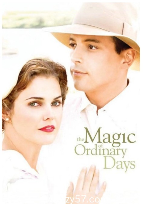平凡岁月的魅力电影海报