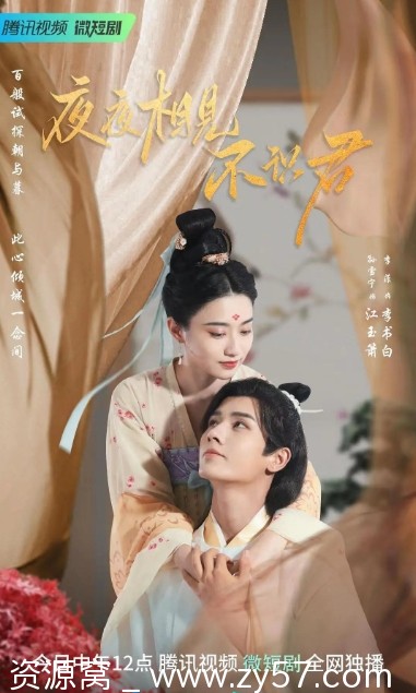 电视剧 短片/古装 《夜夜相见不识君》2023正版高清全集在线观看 - 零零盘