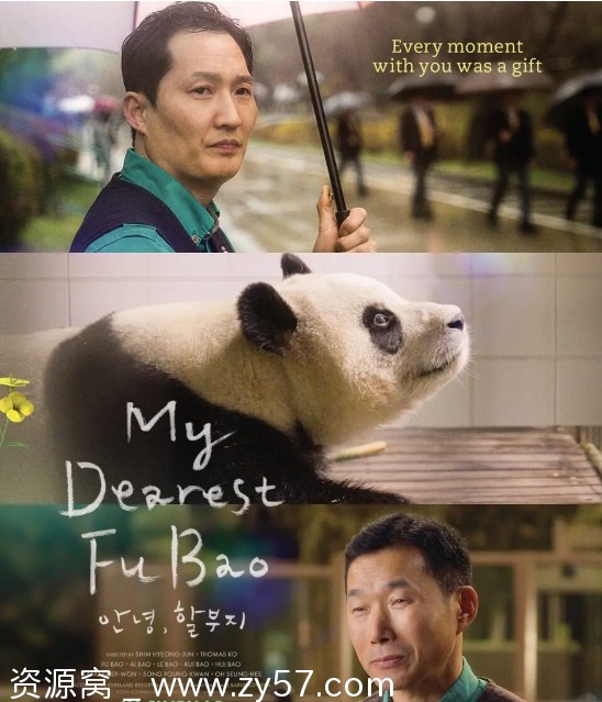 再见，福宝海报