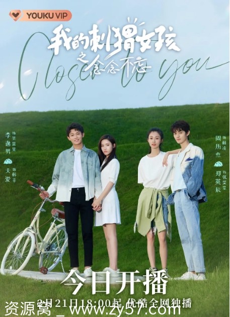 我的刺猬女孩之念念不忘海报