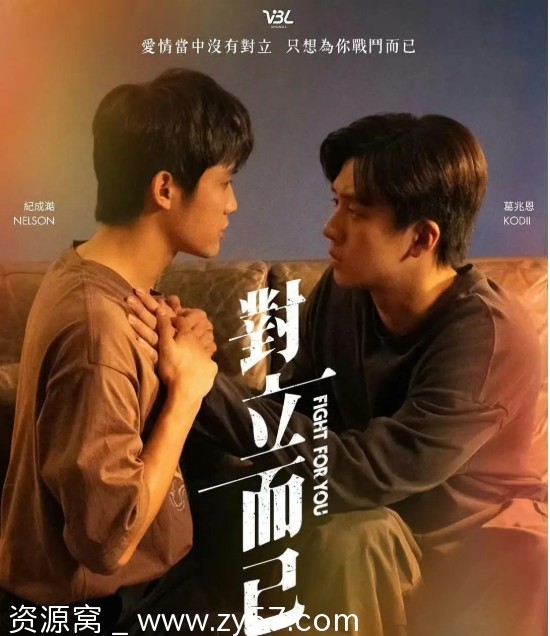 对立而已 电视剧海报