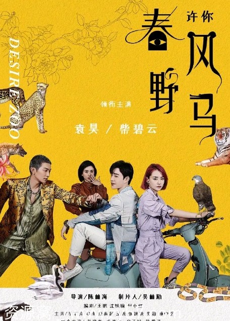 《许你春风野马》海报