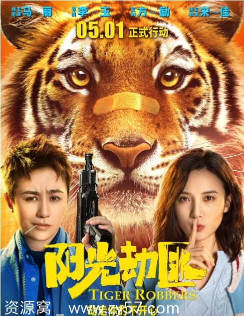 阳光劫匪电影海报