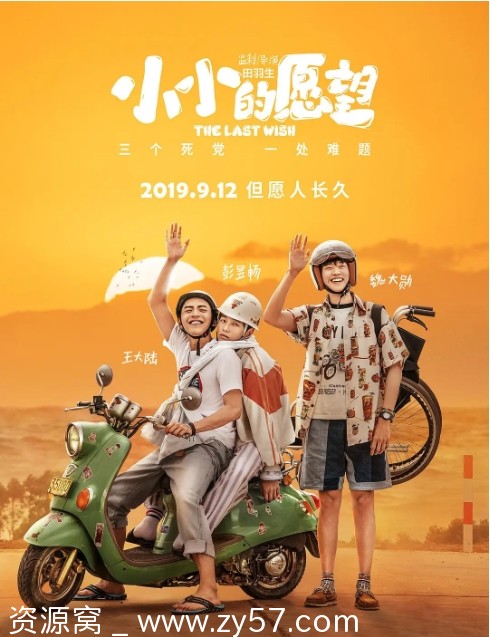 小小的愿望电影海报