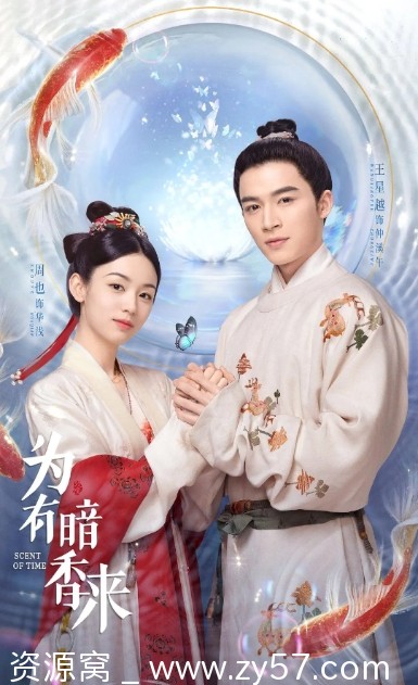 电视剧爱情 《为有暗香来》（2023）全集免费观看 - 零零盘