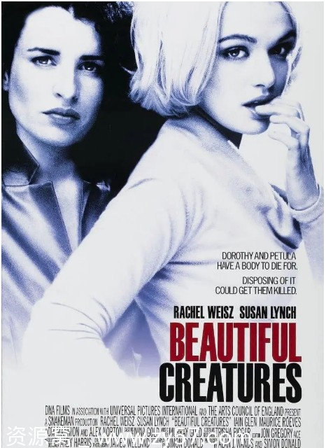 麻辣追杀令电影海报