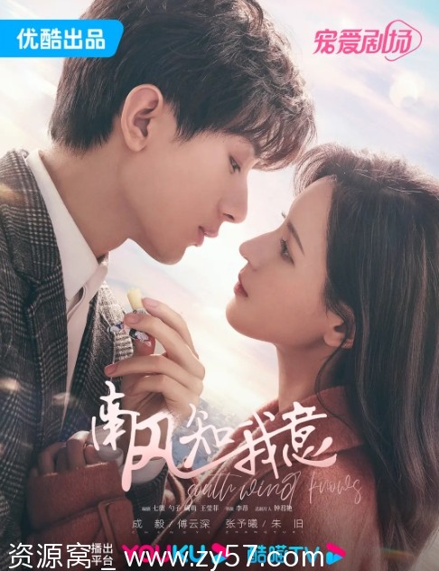 南风知我意海报