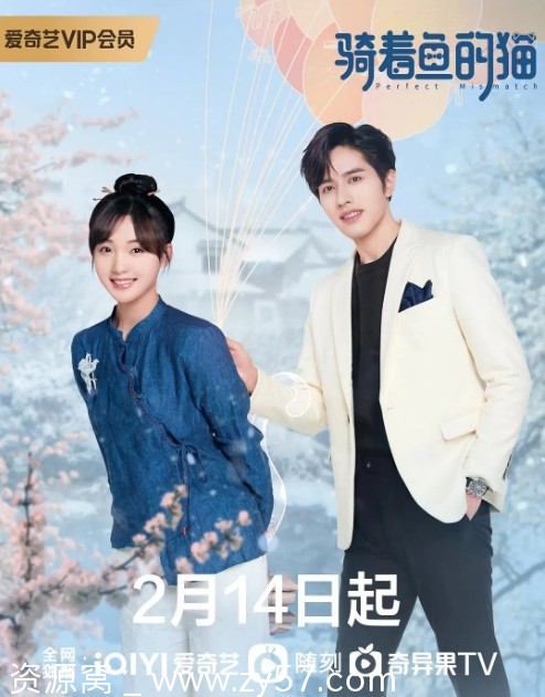 电视剧爱情巨作《骑着鱼的猫》（2023）高清完整版在线观看 - 零零盘