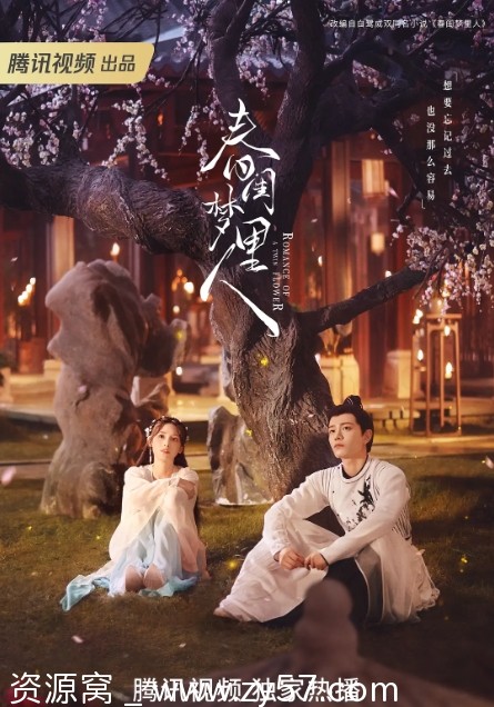 春闺梦里人海报