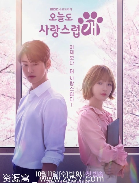 今天也很可爱的狗海报