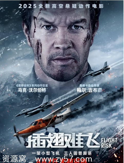 插翅难飞电影海报