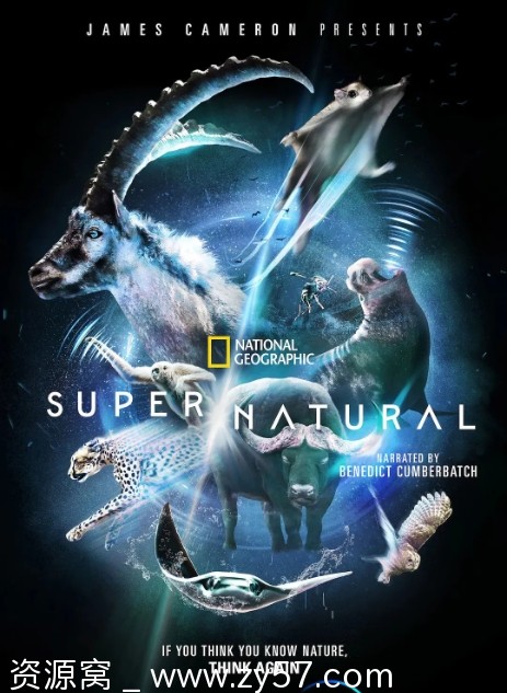 纪录片《超凡动物奇观》美国版2022高清资源分享 - 零零盘