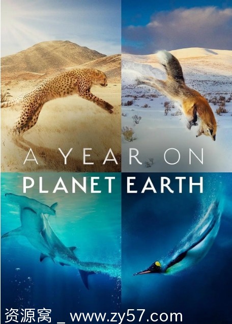 纪录片《地球上的一年》美国2022年高清完整版下载 - 零零盘