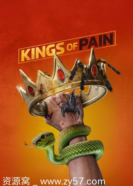 疼痛之王第二季海报