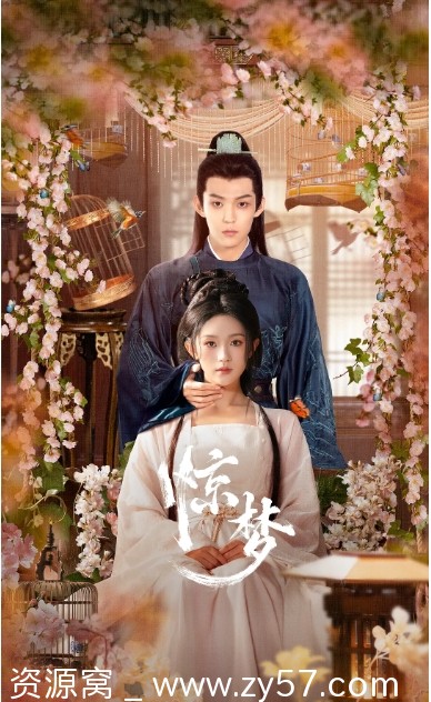 电视剧《惊梦》海报