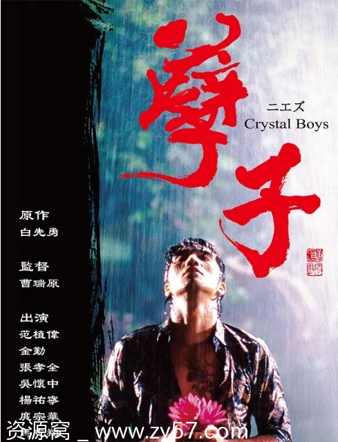 电视剧《孽子》海报