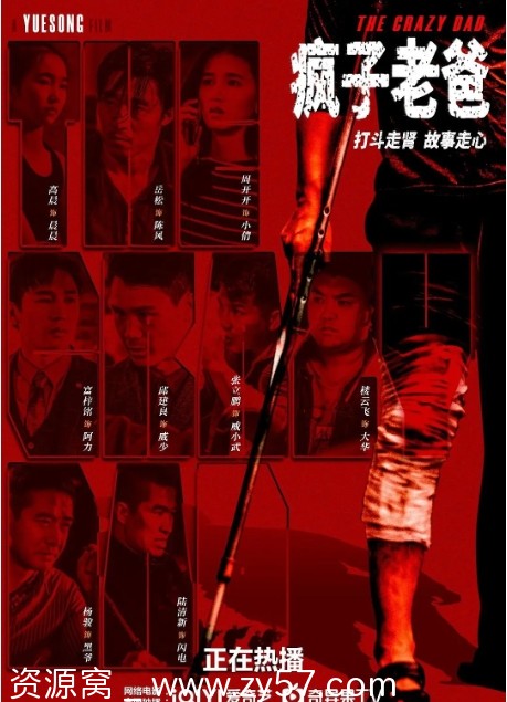 国内动作电影《疯子老爸》2024高清完整版在线观看 - 零零盘