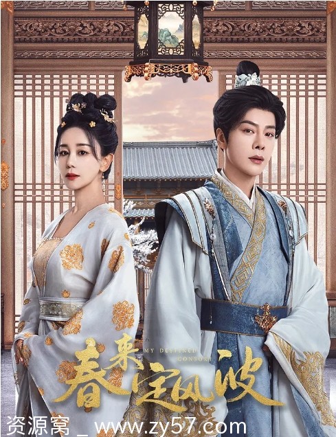 春来定风波海报