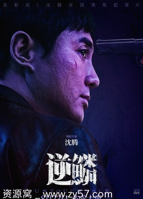 电影犯罪片推荐《逆鳞》(2024)高清在线观看 - 零零盘