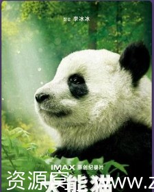 美国纪录片《大熊猫》深度解读：珍贵国宝的生态生活全景 - 零零盘
