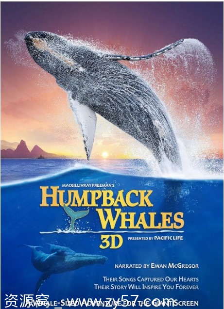 美国纪录片《座头鲸》2015豆瓣8.3分高清资源分享 - 零零盘