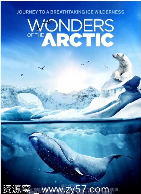 北极奇观电影海报