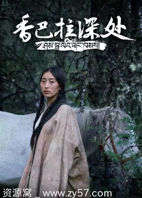 国内高分纪录片《香巴拉深处》2018豆瓣8.7高清资源分享 - 零零盘