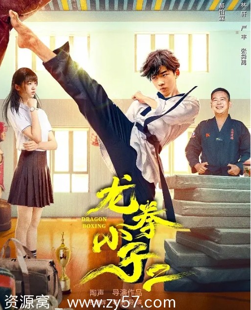龙拳小子2电影海报