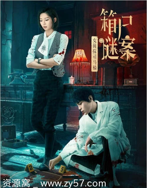 女侦探司马楠之箱尸谜案海报
