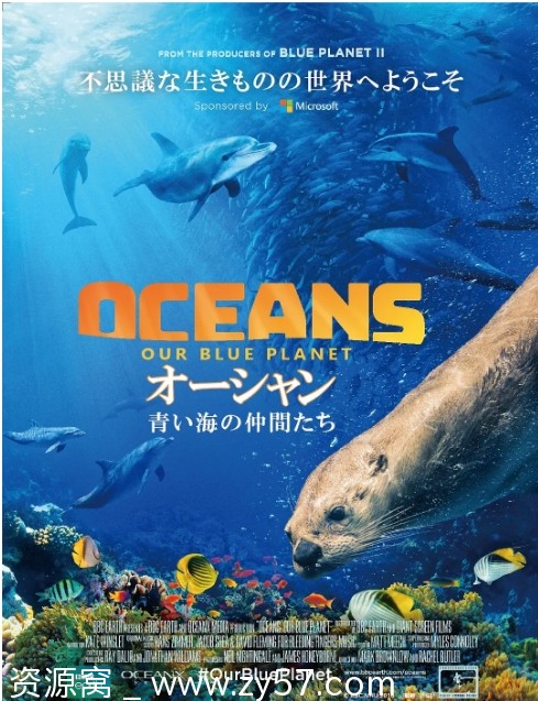 英国纪录片《海洋：我们的蓝色星球》（2018）豆瓣8.9分 资源分享 - 零零盘