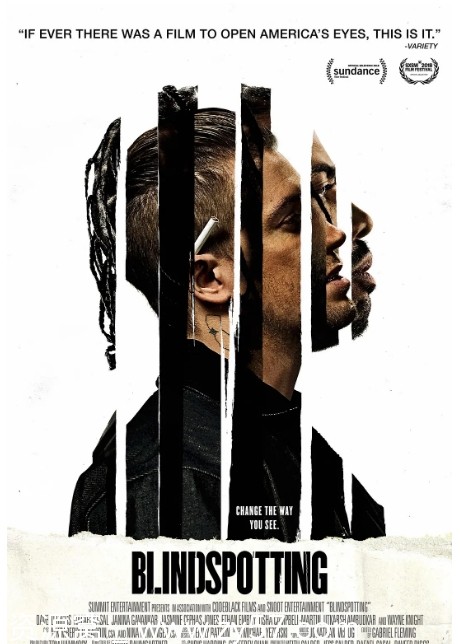 盲点电影海报