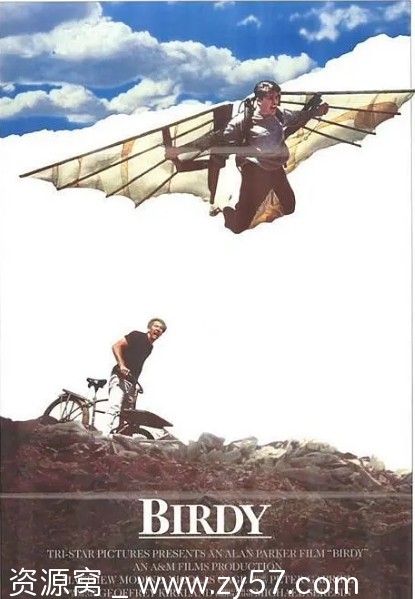 美国电影《鸟人》1984剧情解析/战争题材豆瓣评分8.3 - 零零盘