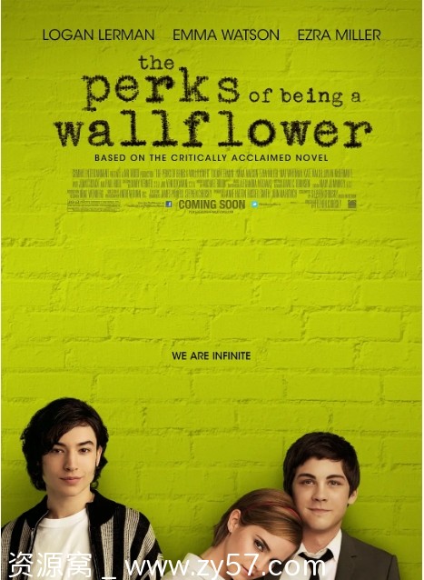 美国电影《壁花少年》（2012）剧情解析/爱情故事 豆瓣评分8.0 - 零零盘