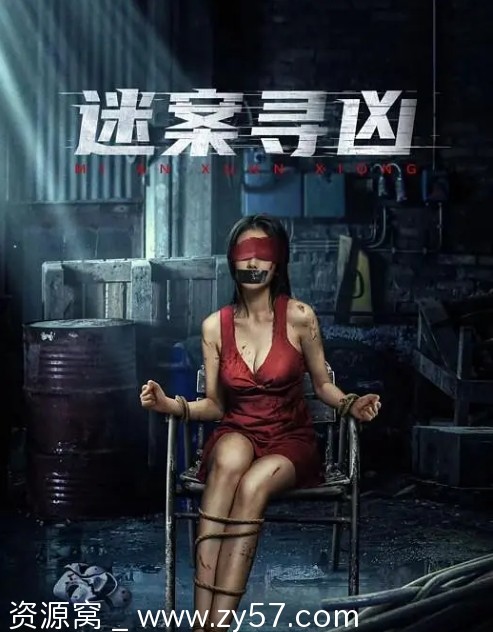 电影剧情/悬疑迷案寻凶2024高清完整版在线观看 - 零零盘