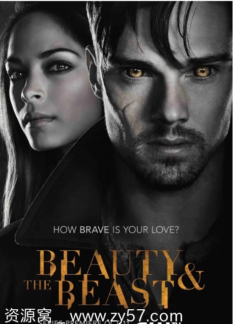 侠胆雄狮2012海报