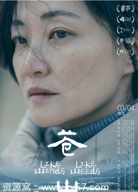 国内电影《苍山》（2023）剧情解析 豆瓣评分6.9 - 零零盘