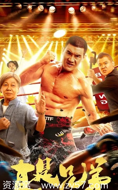 《真是兄弟》电影海报