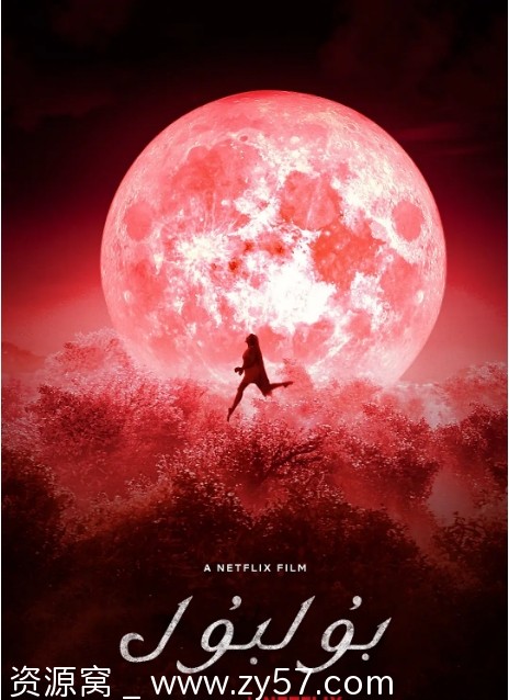 童养媳之谜海报