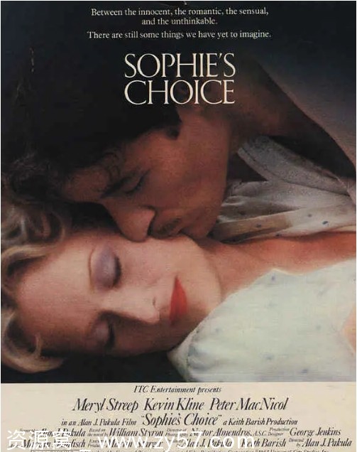 美国电影《苏菲的抉择》（1982）剧情解析/爱情故事 豆瓣评分8.4 - 零零盘