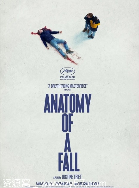 坠落的审判海报