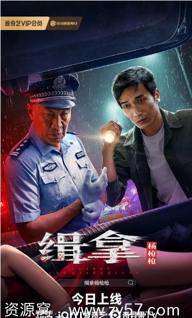 缉拿杨枪枪海报