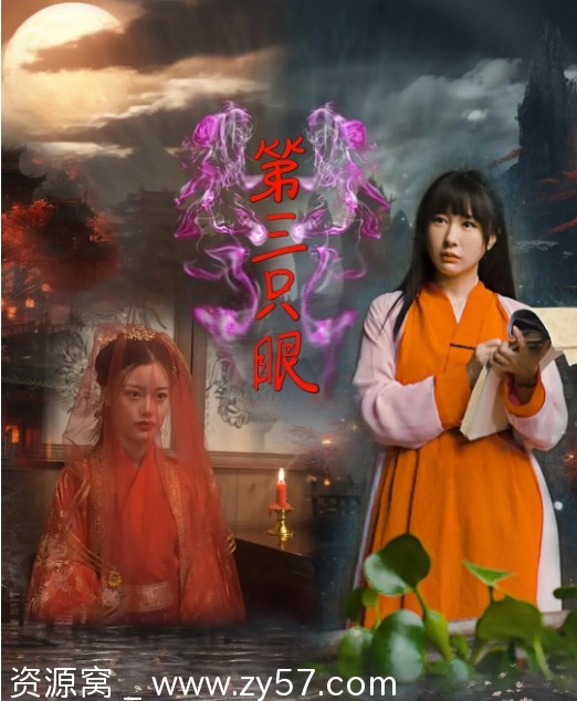 电影《第三只眼》海报