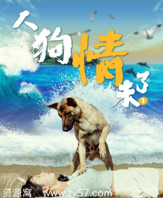 电影《人狗情未了》（2024）高清资源免费分享 - 零零盘