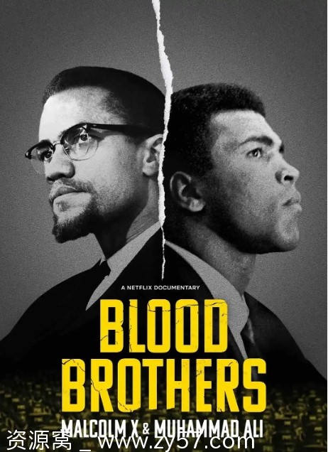 生死之交：马尔科姆·X与拳王阿里海报