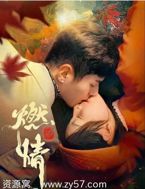 国剧燃情短剧2025版爱情短片免费观看 - 零零盘