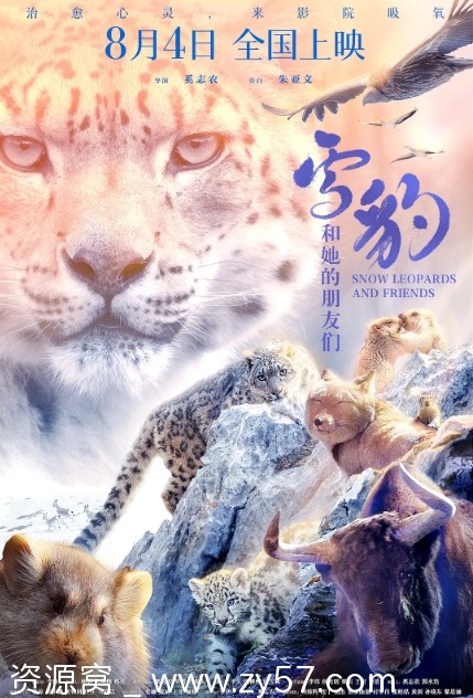 雪豹和她的朋友们电影海报
